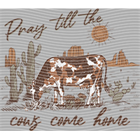 Country music-CU 907